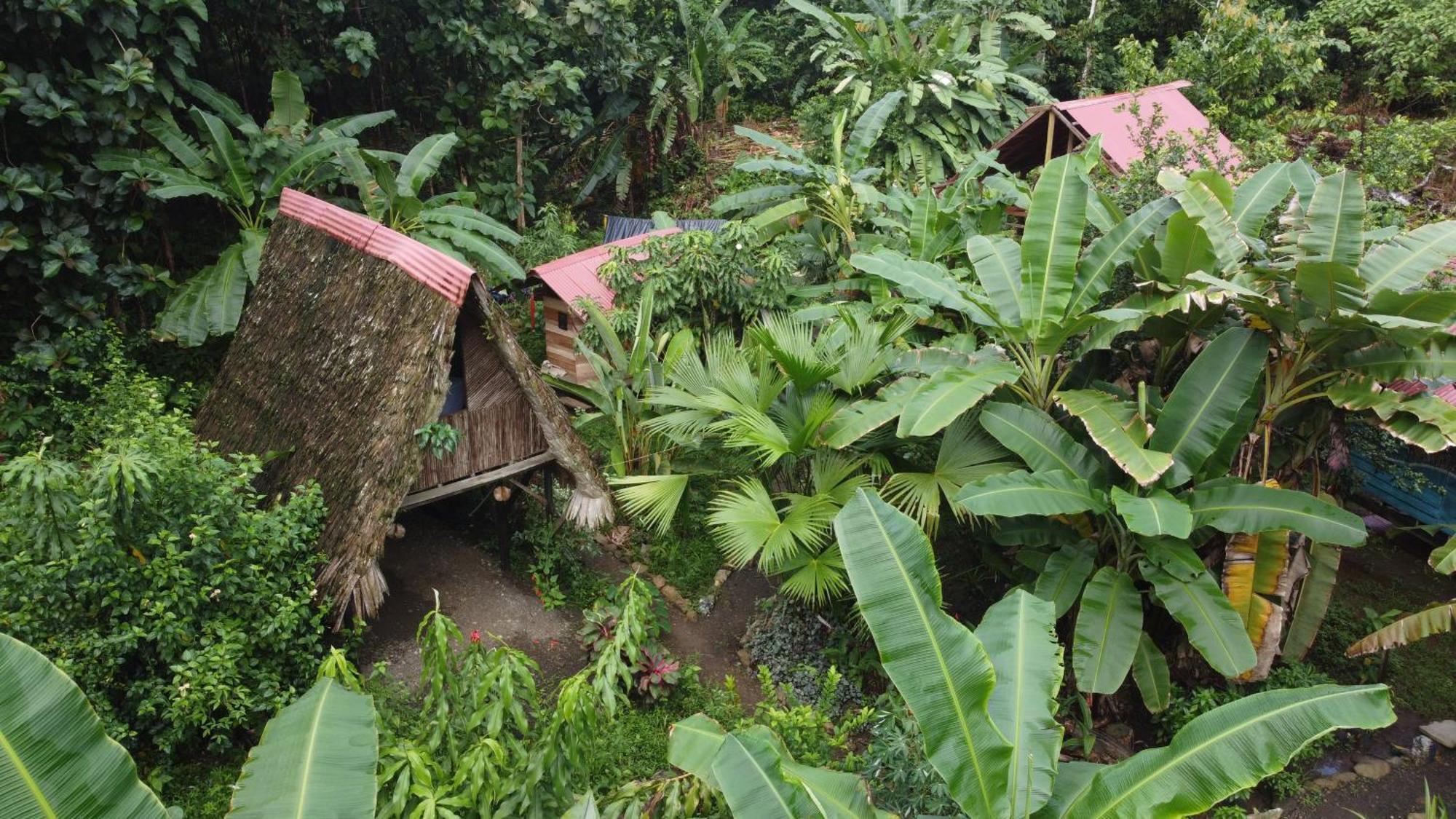La Aldea Del Primitivo Otel Nuquí Dış mekan fotoğraf